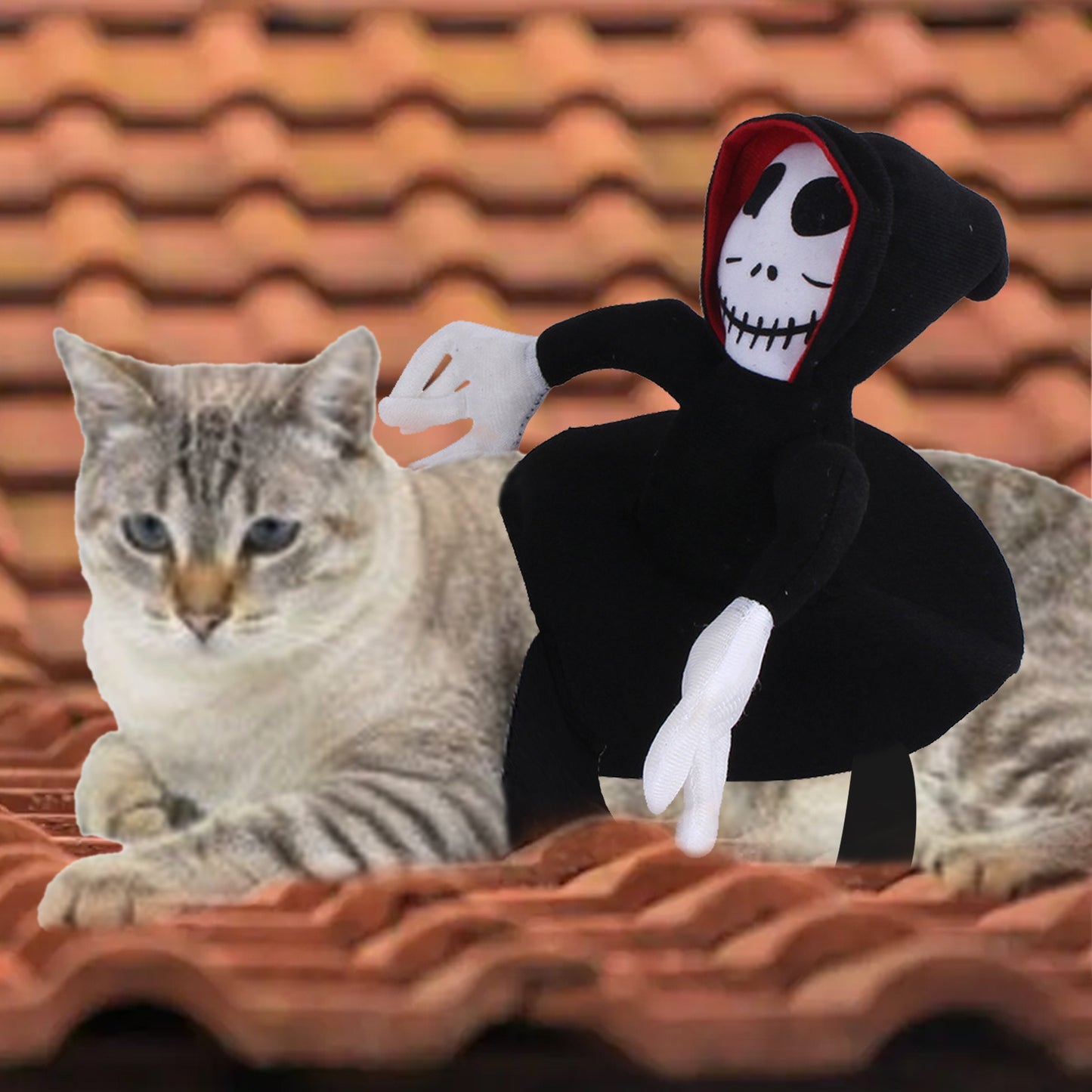 Funny Halloween Pet Rider Costume – Skeleton Hoodie Character Riding Dog Outfit