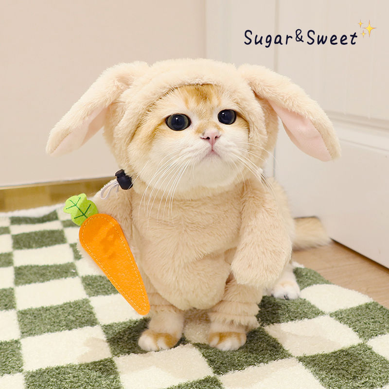 Rabbit Costume with Carrot Leash – Funny Halloween Outfit for Cats & Dogs