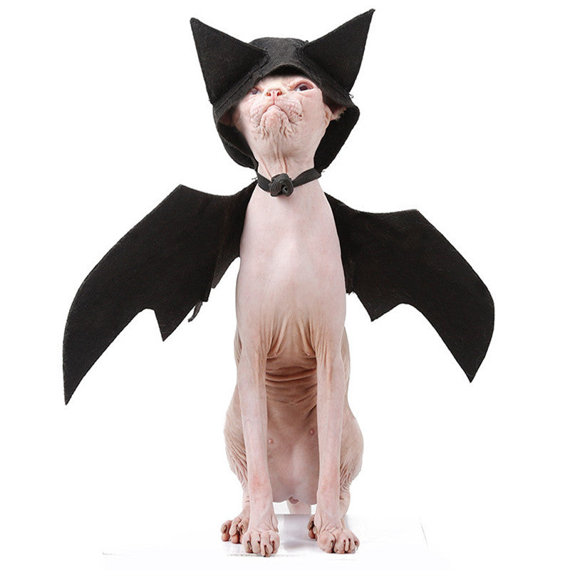 Halloween Pet Bat Wings – Funny Dog & Cat Costume Accessory