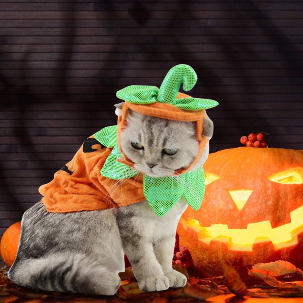 Pumpkin Pet Costume – Cute Halloween Outfit for Cats & Dogs