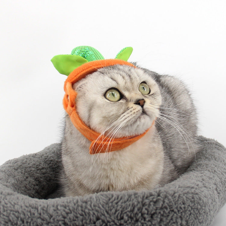 Pumpkin Pet Costume – Cute Halloween Outfit for Cats & Dogs