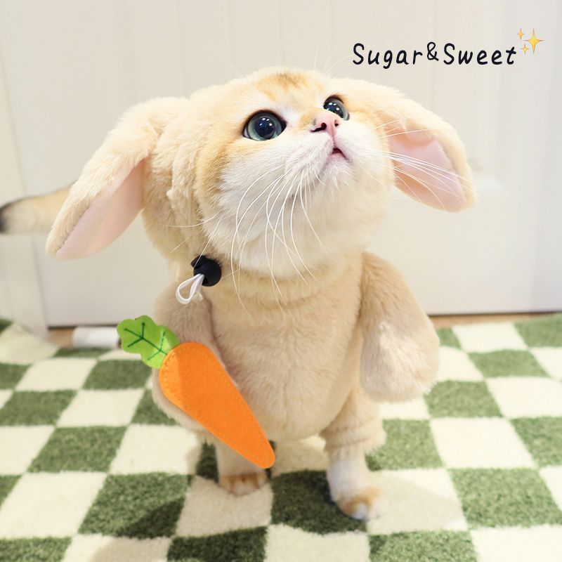 Rabbit Costume with Carrot Leash – Funny Halloween Outfit for Cats & Dogs
