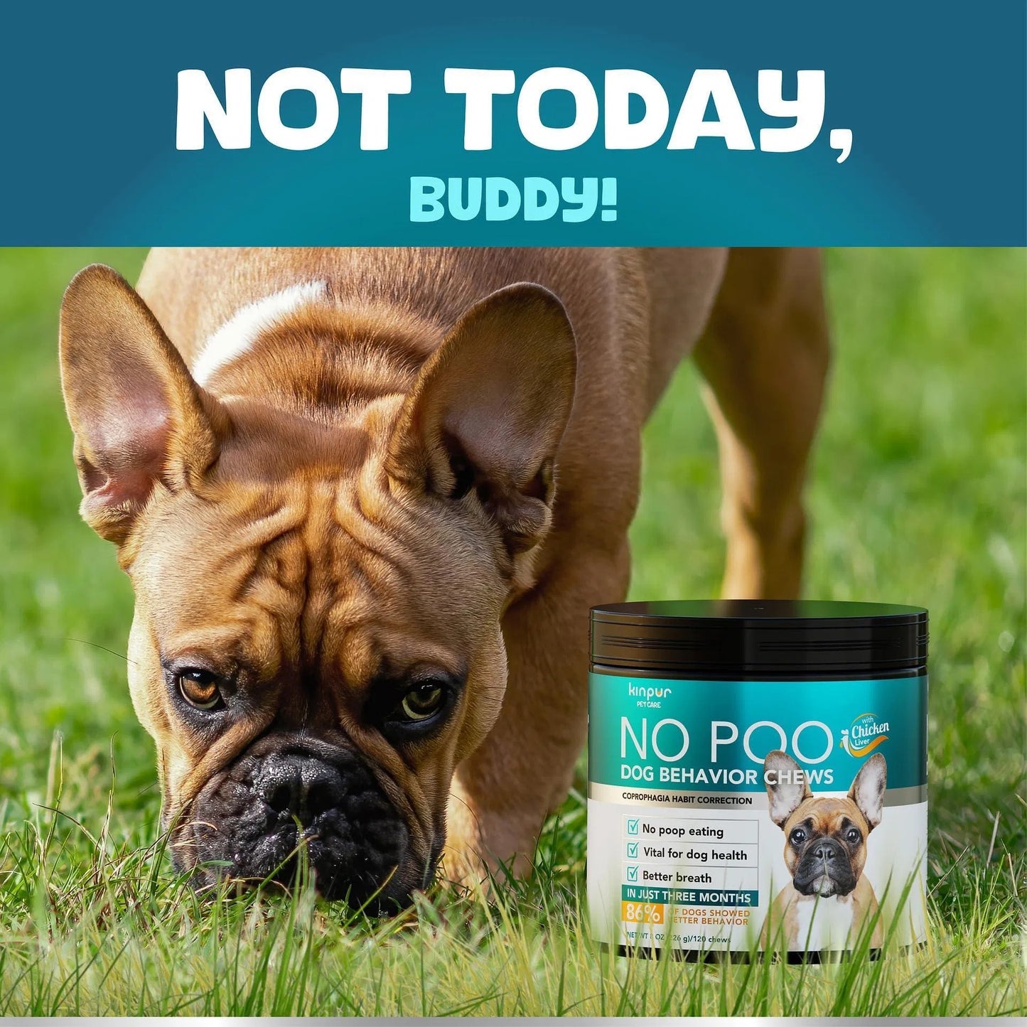 No Poo Chews for Dogs – Coprophagia Deterrent & Digestive Support
