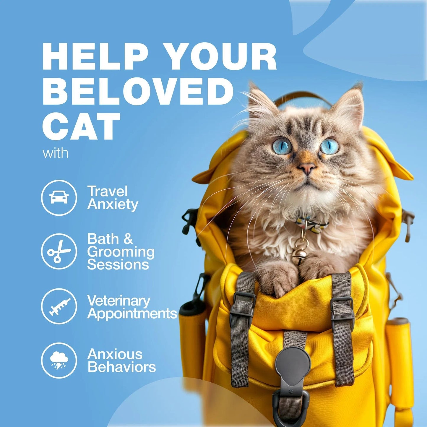 Cat Calming Treats – Hemp & Melatonin Soft Chews with Probiotics