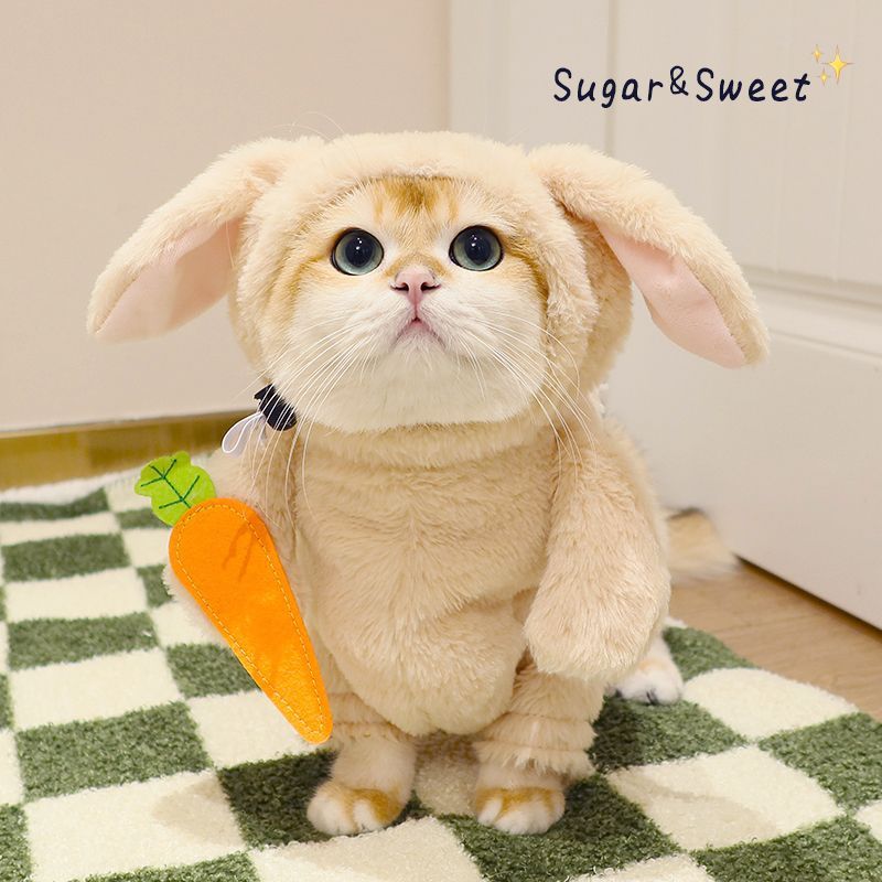 Rabbit Costume with Carrot Leash – Funny Halloween Outfit for Cats & Dogs