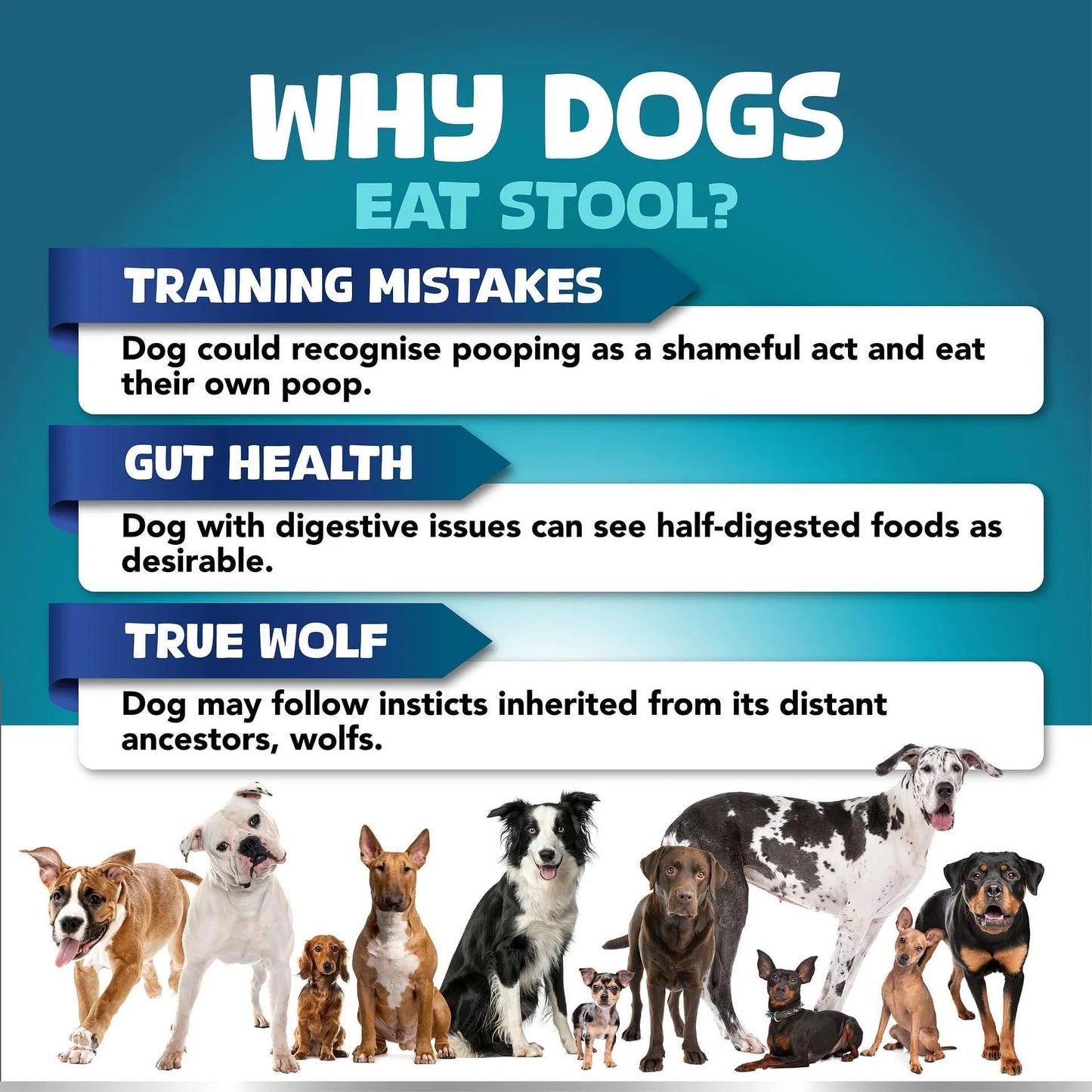 No Poo Chews for Dogs – Coprophagia Deterrent & Digestive Support