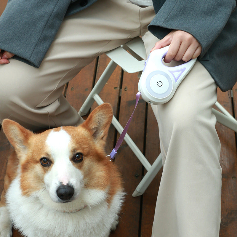 Retractable Dog Leash with Collar & LED Spotlight – Automatic Pet Traction Rope for Small & Medium Dogs