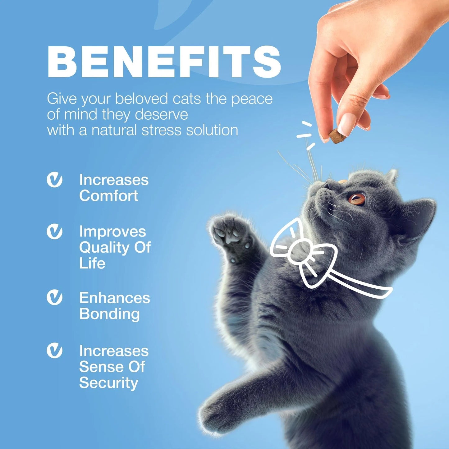 Cat Calming Treats – Hemp & Melatonin Soft Chews with Probiotics