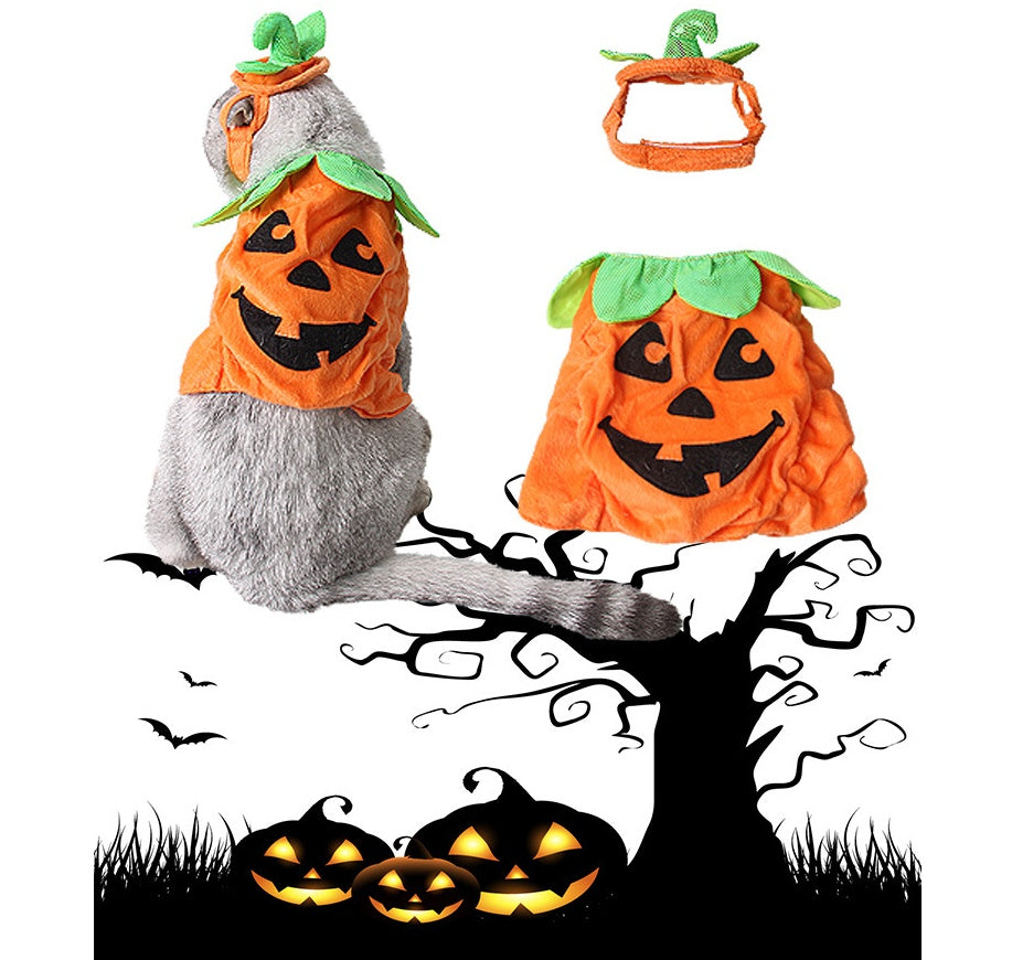 Pumpkin Pet Costume – Cute Halloween Outfit for Cats & Dogs
