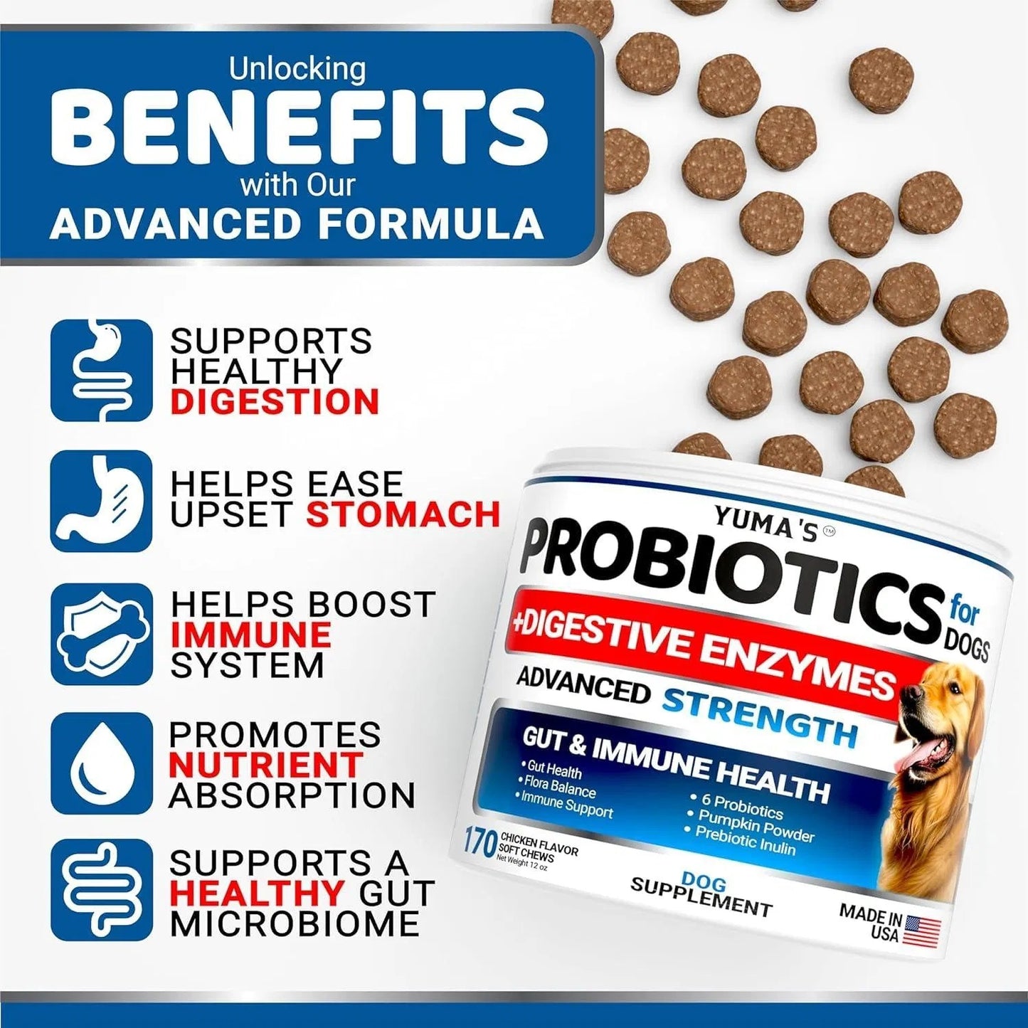 2-Pack Dog Probiotics – Digestive Enzyme Chews for Diarrhea & Gas