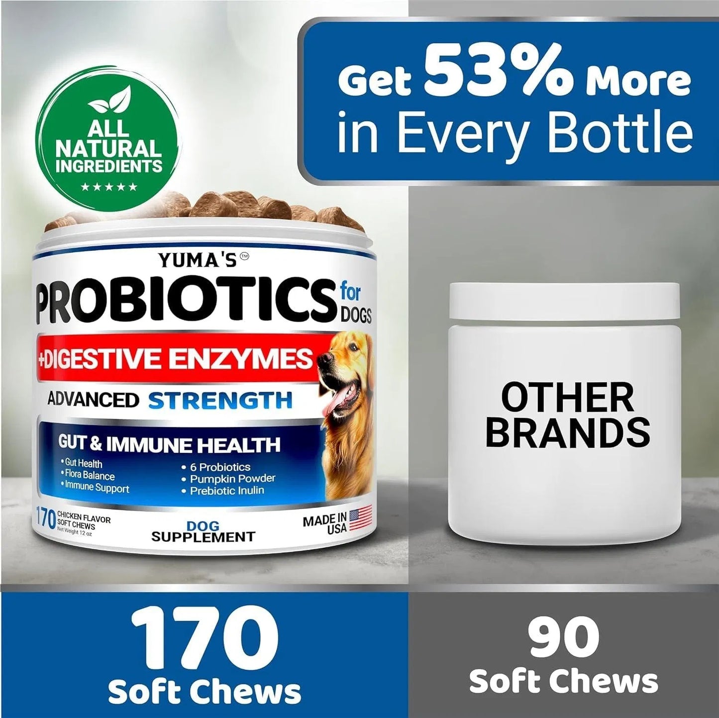 2-Pack Dog Probiotics – Digestive Enzyme Chews for Diarrhea & Gas