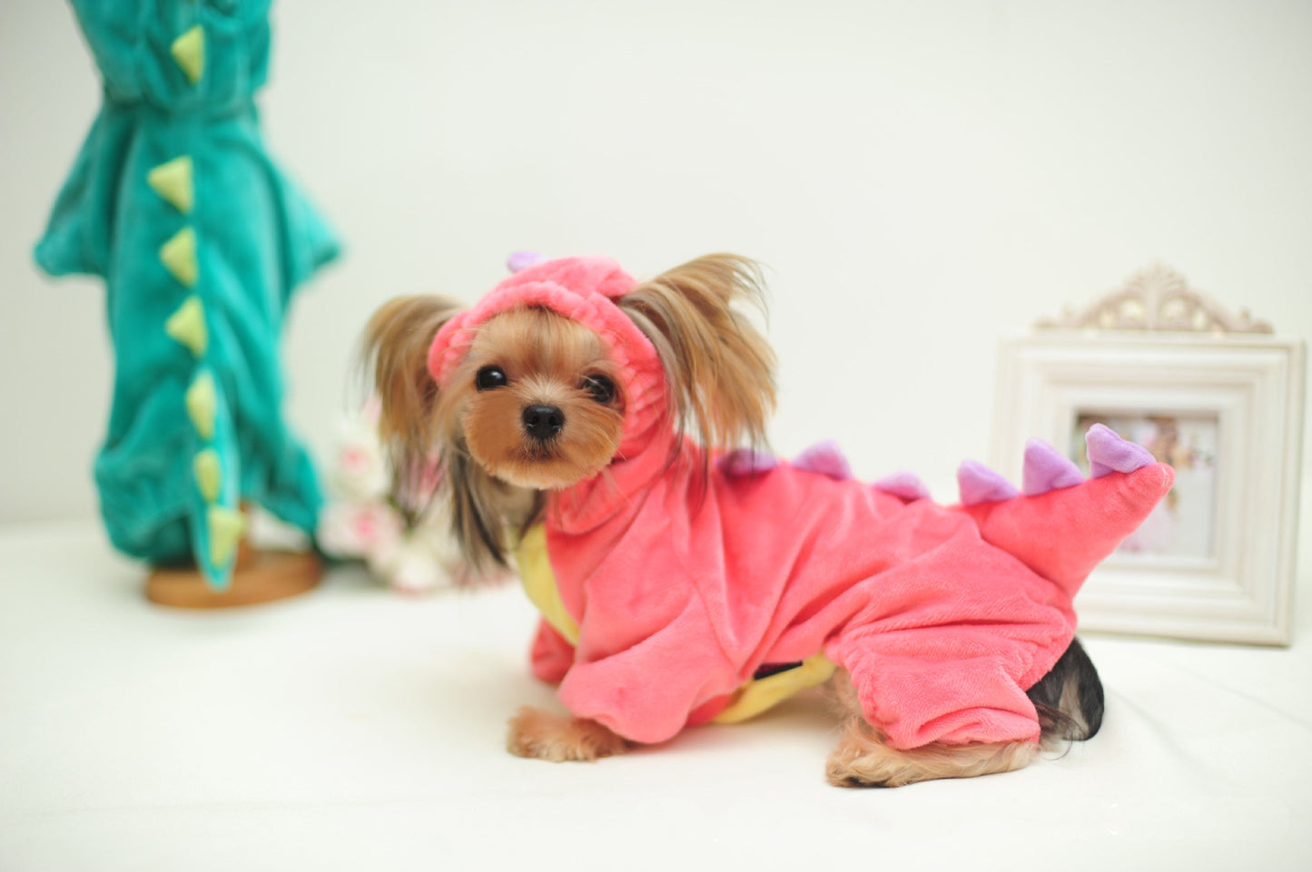 Dinosaur Pet Costume – Funny Halloween Outfit for Dogs & Cats