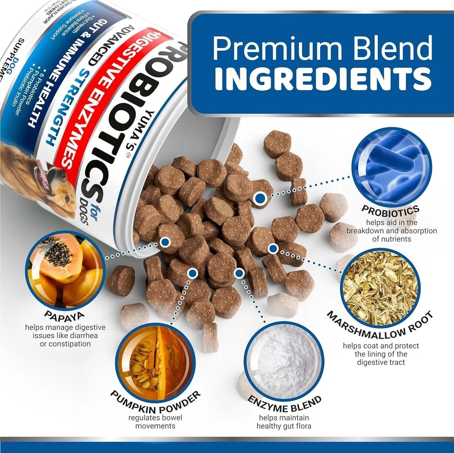 2-Pack Dog Probiotics – Digestive Enzyme Chews for Diarrhea & Gas