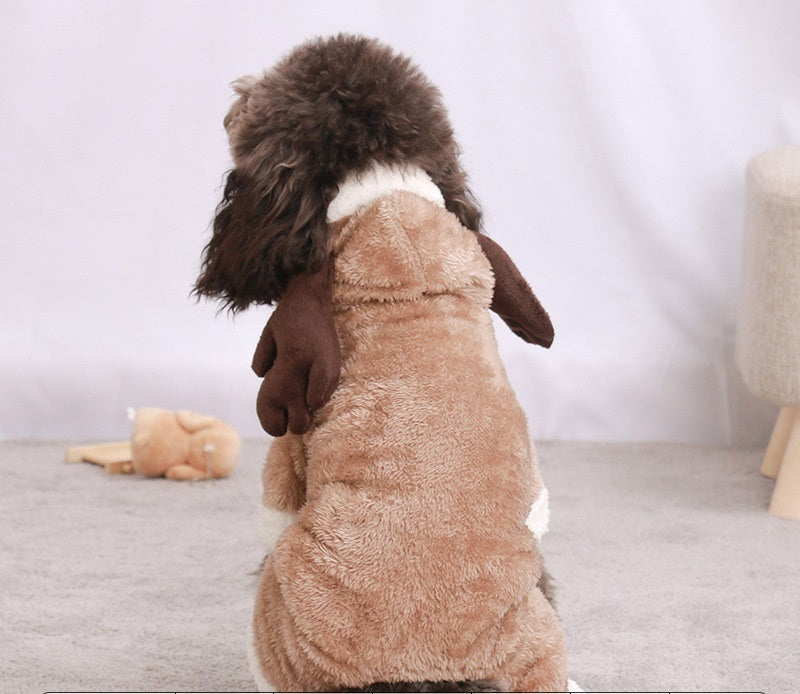 Autumn & Winter Dog Costume – Warm Pet Outfit for Halloween & Parties