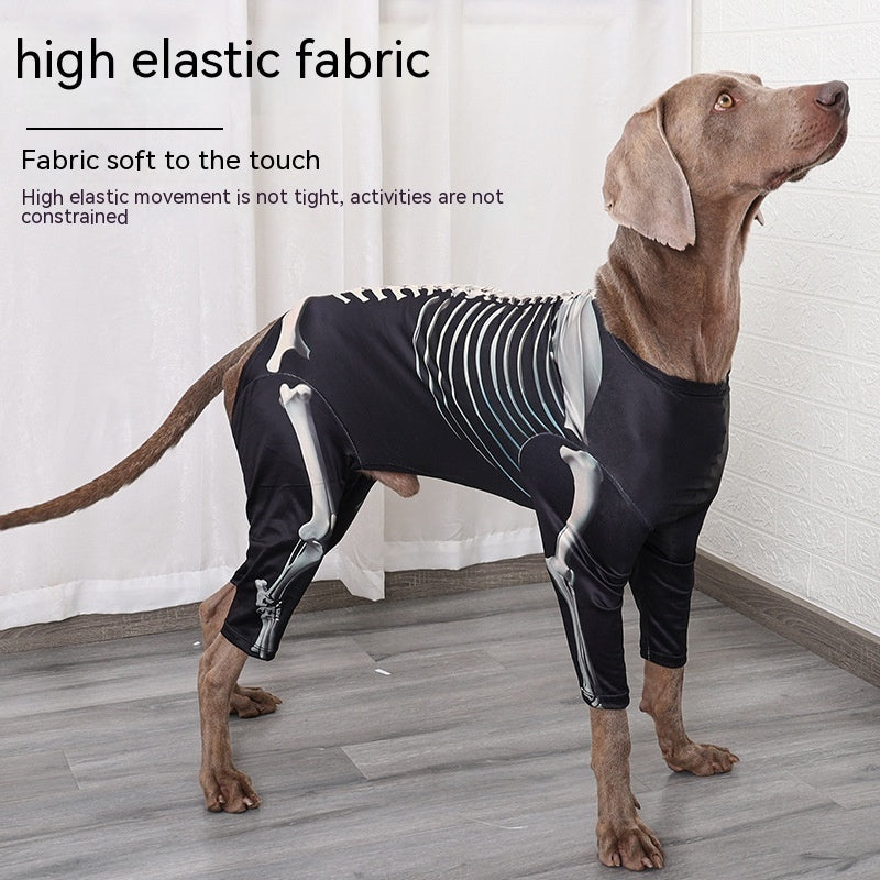 Halloween Skeleton Pet Costume – Scary Dog & Cat Outfit