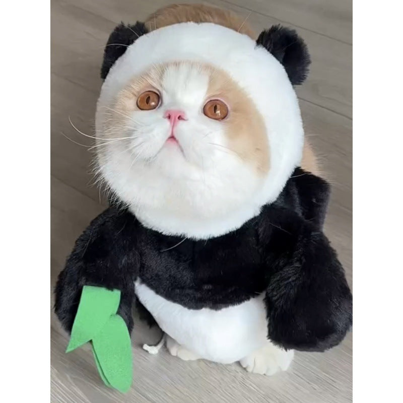 Rabbit Costume with Carrot Leash – Funny Halloween Outfit for Cats & Dogs