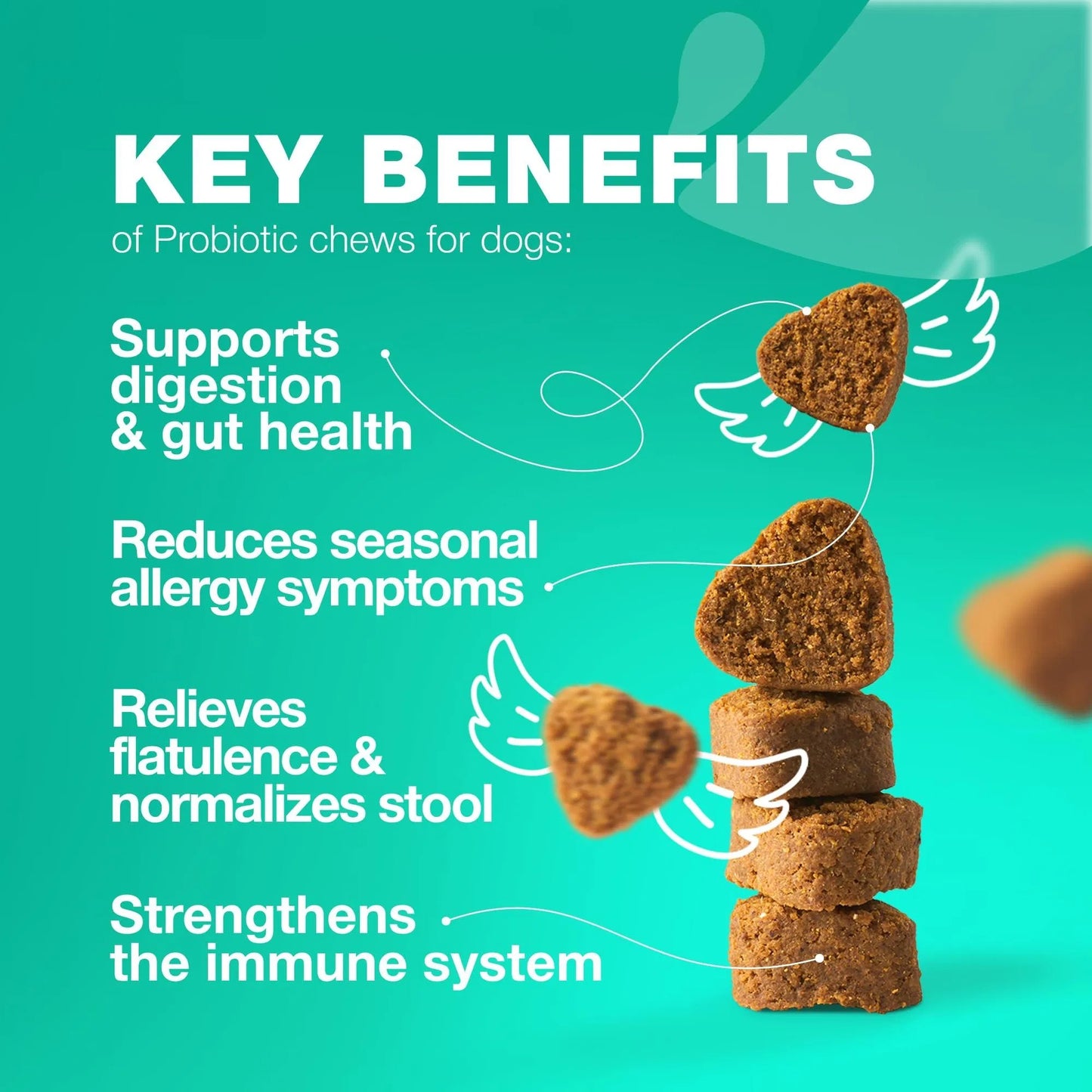 Dog Probiotics Travel Pack – Gut Health, Immunity & Digestive Support