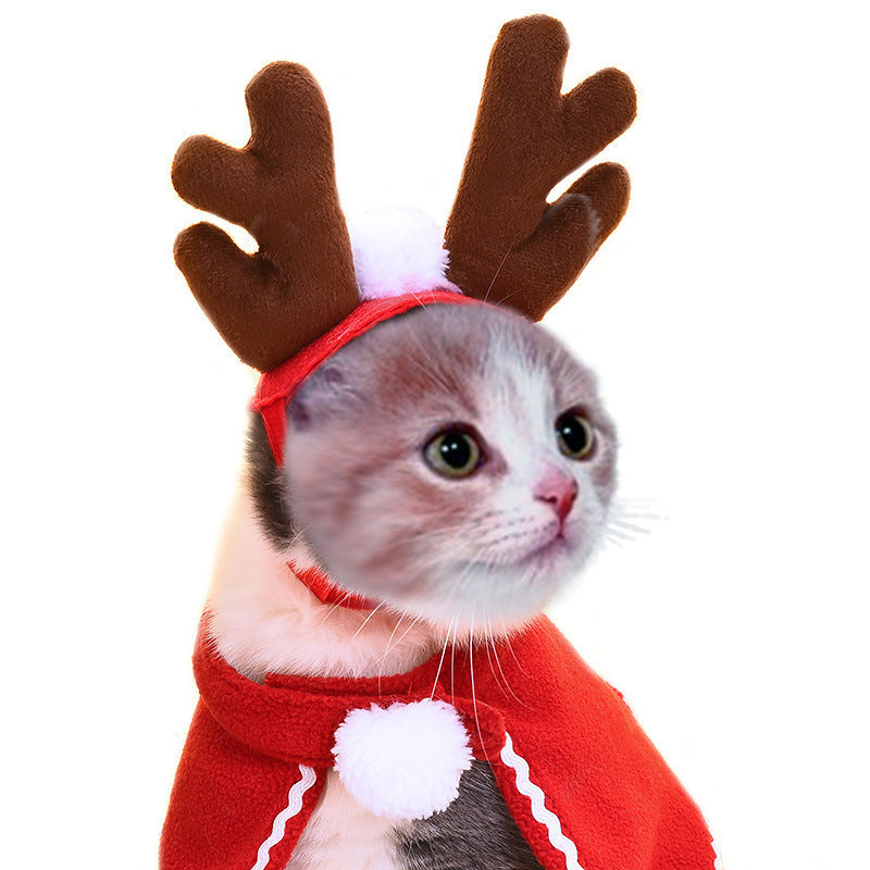 Funny Pet Hat – Halloween Headwear for Cats & Dogs | Photo Props