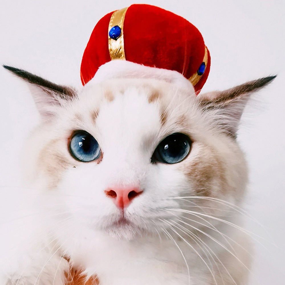 Funny Pet Hat – Halloween Headwear for Cats & Dogs | Photo Props