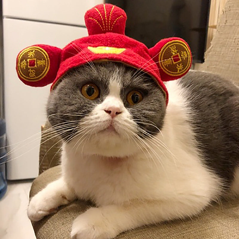 Funny Pet Hat – Halloween Headwear for Cats & Dogs | Photo Props