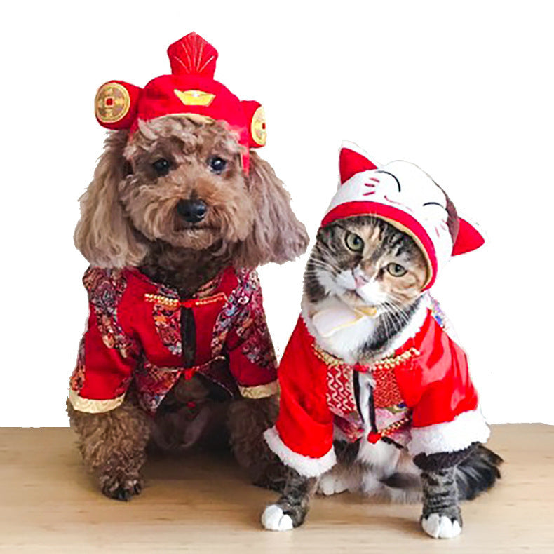 Funny Pet Hat – Halloween Headwear for Cats & Dogs | Photo Props