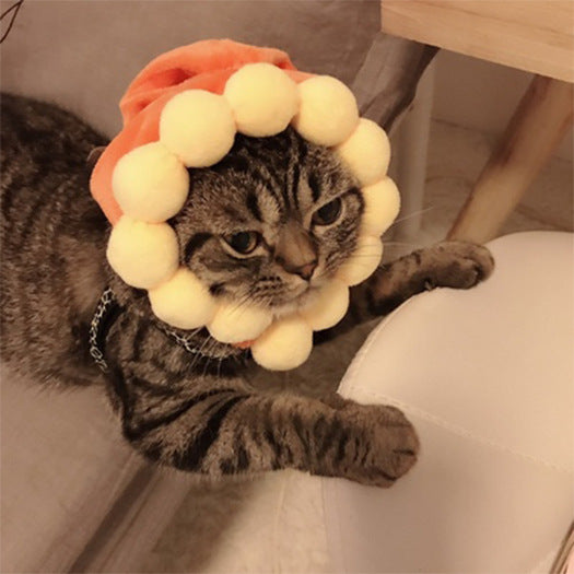 Funny Pet Hat – Halloween Headwear for Cats & Dogs | Photo Props