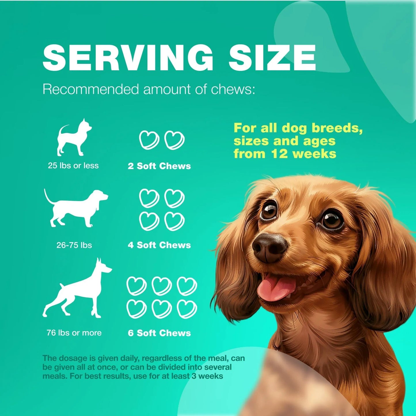 Dog Probiotics Travel Pack – Gut Health, Immunity & Digestive Support