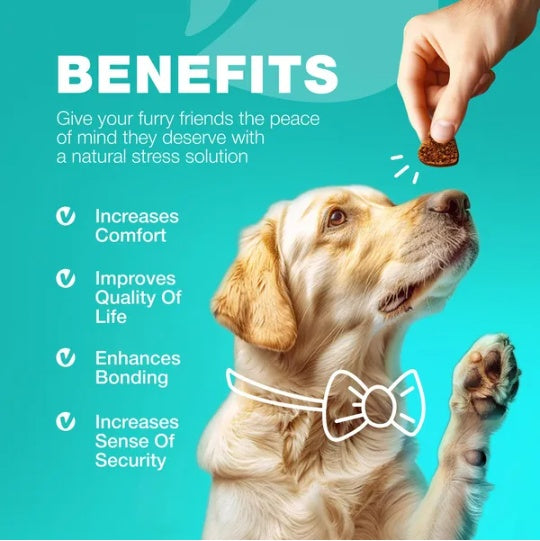 No Poo Chews for Dogs – Coprophagia Deterrent & Digestive Support