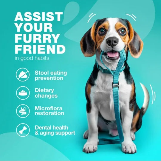 No Poo Chews for Dogs – Coprophagia Deterrent & Digestive Support