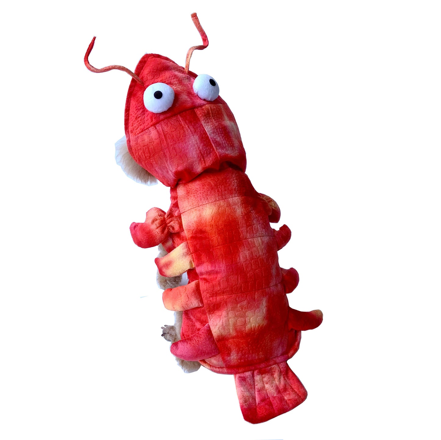 Funny Lobster Pet Costume – Halloween Outfit for Cats & Dogs