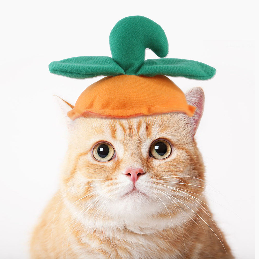 Funny Pet Hat – Halloween Headwear for Cats & Dogs | Photo Props