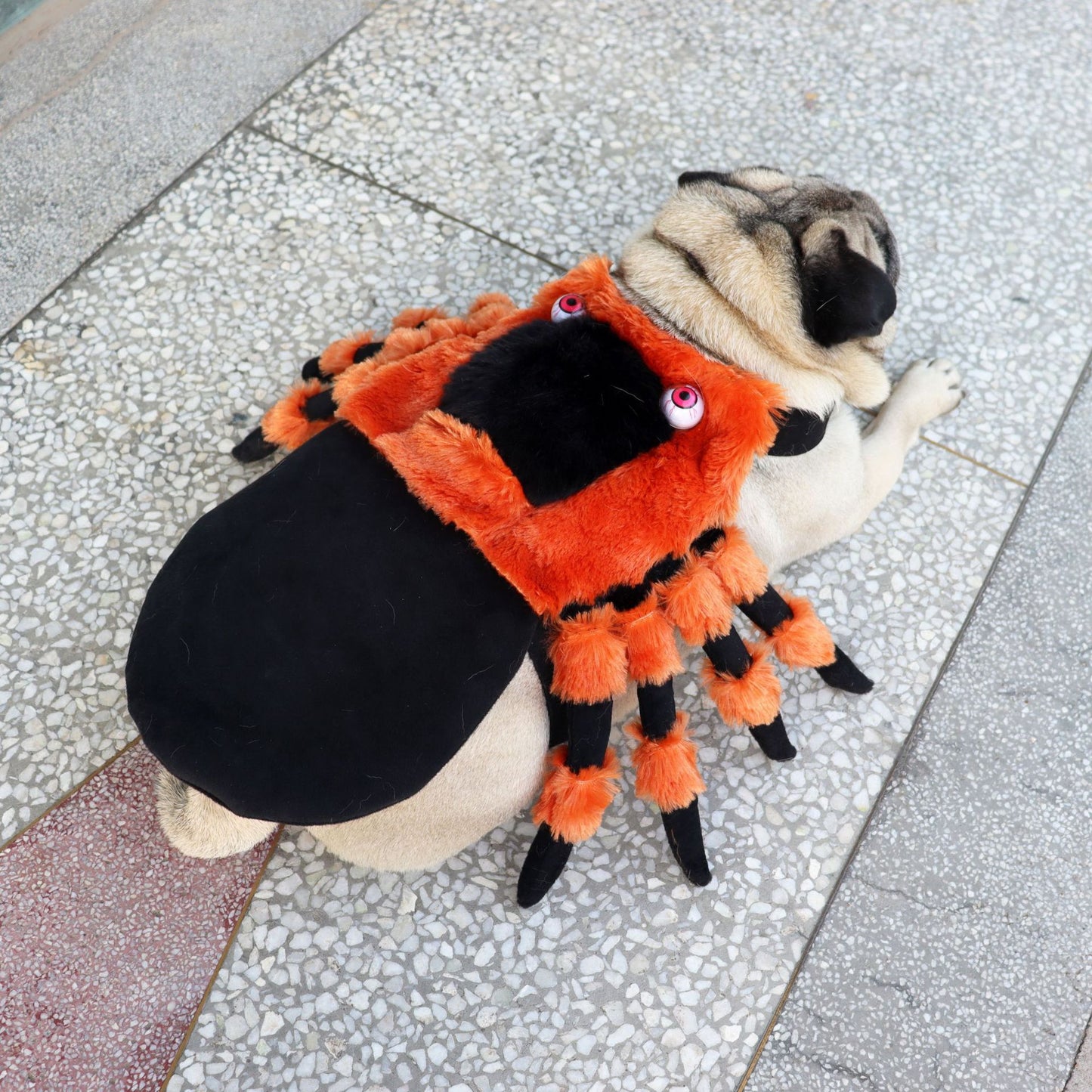 Halloween Pet Spider Costume – Funny Dog & Cat Clothes