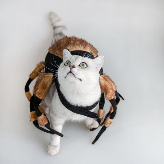 Scary Spider Pet Costume – Halloween Cosplay Outfit for Dogs & Cats