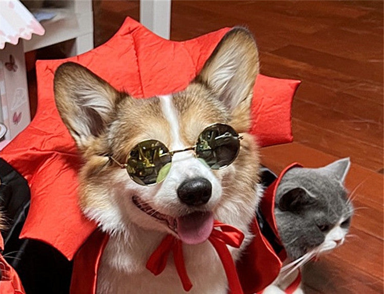 Halloween Vampire Cape for Pets – Dracula King Costume for Dogs & Cats