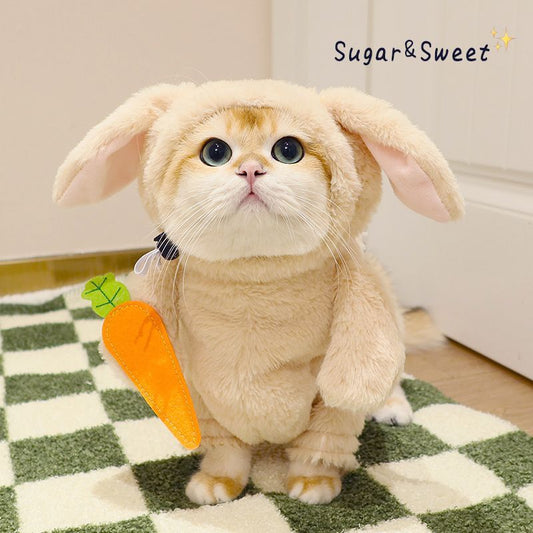 Rabbit Costume with Carrot Leash – Funny Halloween Outfit for Cats & Dogs