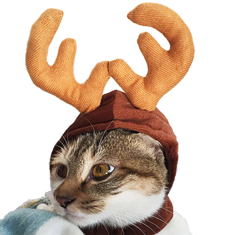 Funny Pet Hat – Halloween Headwear for Cats & Dogs | Photo Props
