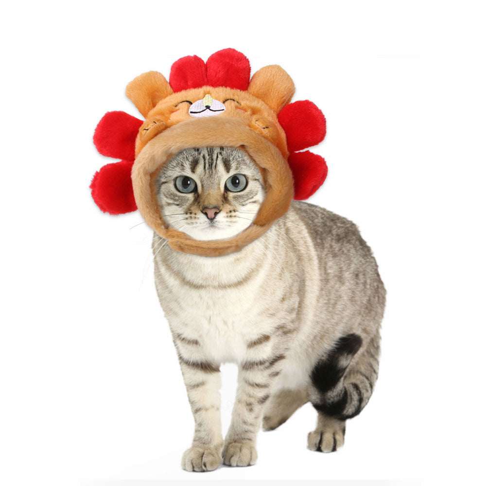 Funny Pet Hat – Halloween Headwear for Cats & Dogs | Photo Props