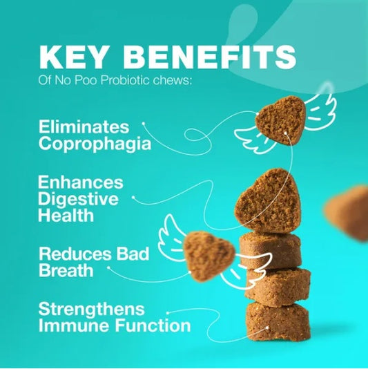 No Poo Chews for Dogs – Coprophagia Deterrent & Digestive Support
