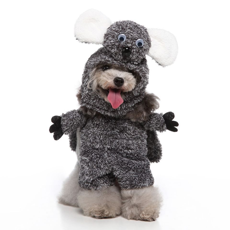 European & American Pet Cosplay Costumes – Funny Halloween Dog & Cat Outfits