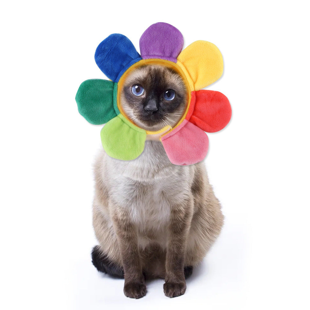 Funny Pet Hat – Halloween Headwear for Cats & Dogs | Photo Props