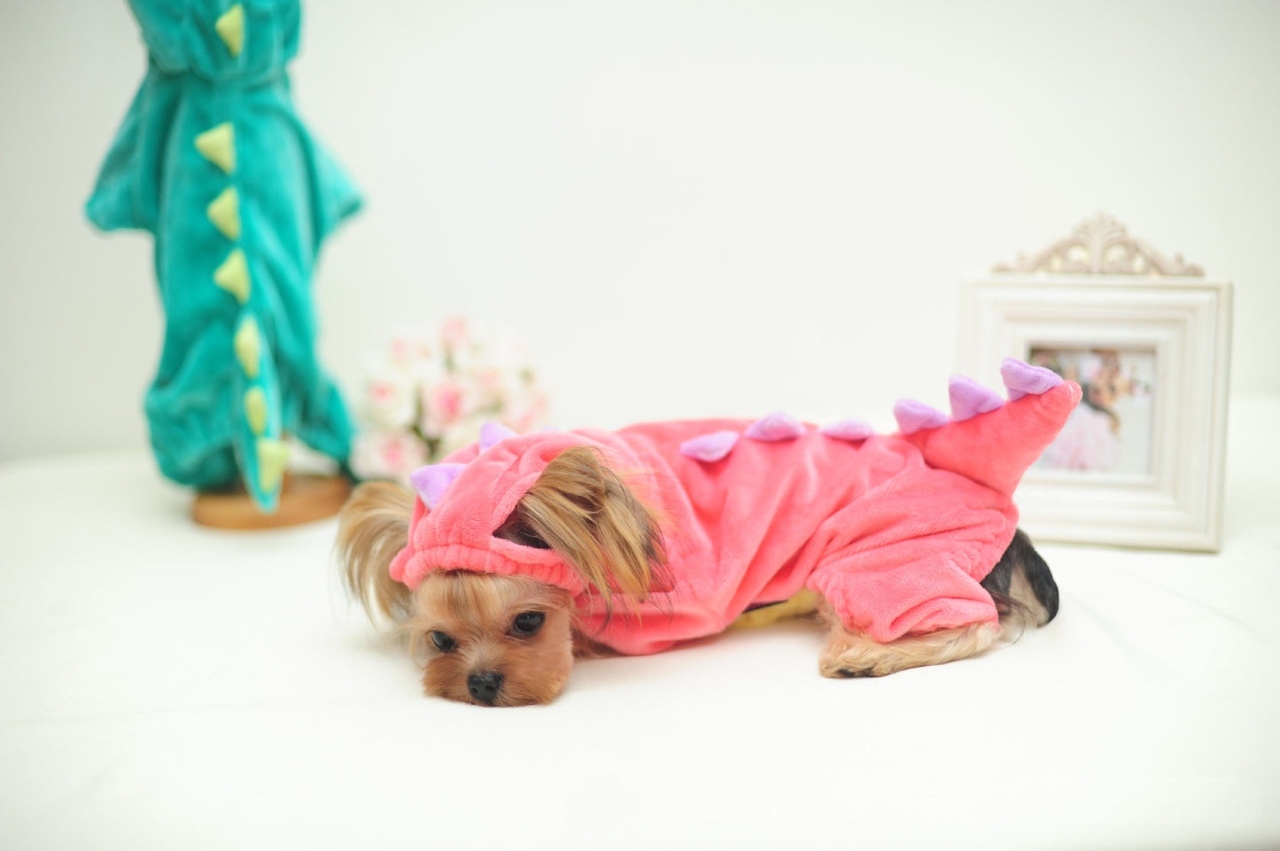 Dinosaur Pet Costume – Funny Halloween Outfit for Dogs & Cats