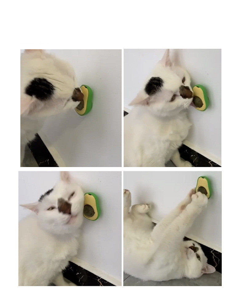 360° Rotating Avocado Catnip Mint Ball – Self-Healing Interactive Dental & Stress Relief Toy for Cats