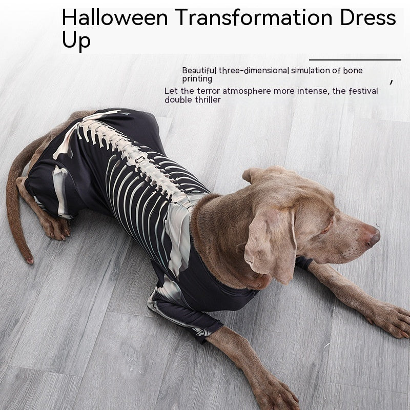 Halloween Skeleton Pet Costume – Scary Dog & Cat Outfit