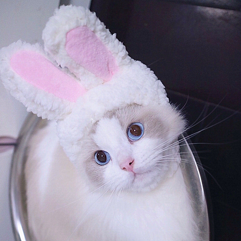 Funny Pet Hat – Halloween Headwear for Cats & Dogs | Photo Props