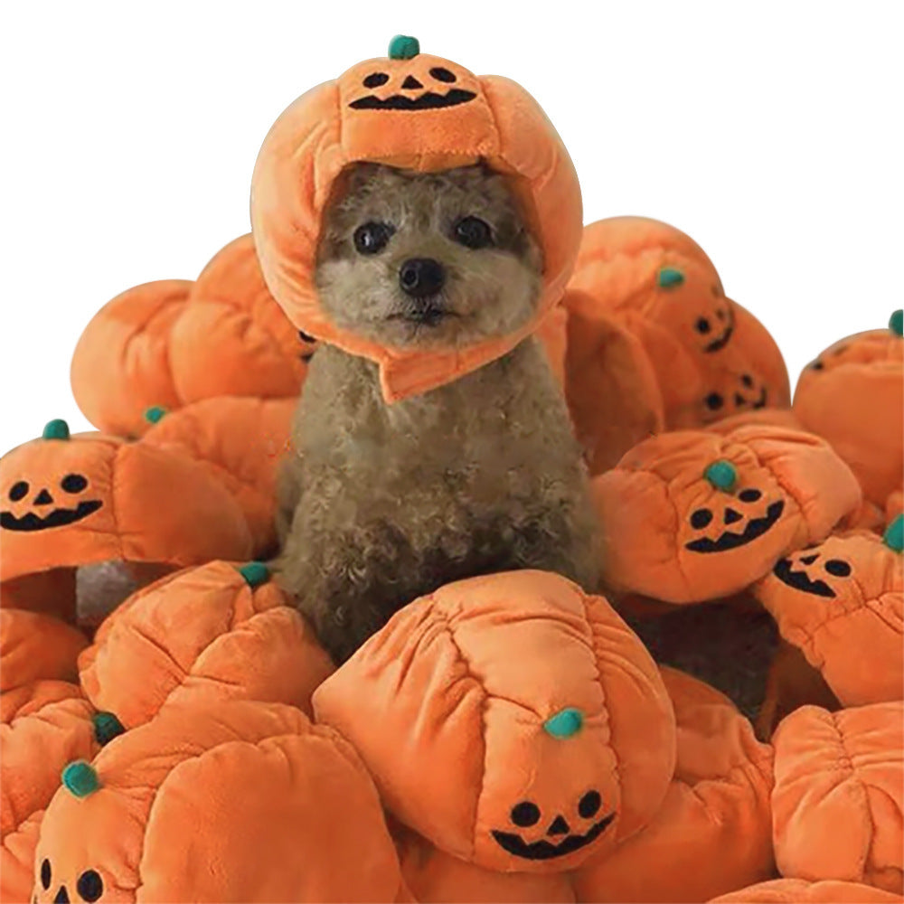 Funny Pet Hat – Halloween Headwear for Cats & Dogs | Photo Props