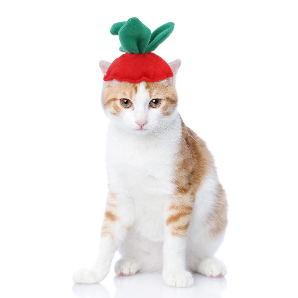 Funny Pet Hat – Halloween Headwear for Cats & Dogs | Photo Props
