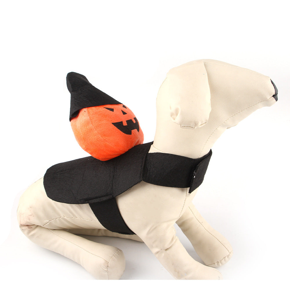 Pumpkin & Ghost Rider Pet Costume – Funny Halloween Outfit for Dogs & Cats