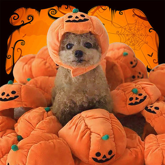 Pumpkin Pet Hat – Funny Halloween Costume for Cats & Dogs