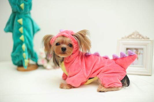 Dinosaur Pet Costume – Funny Halloween Outfit for Dogs & Cats