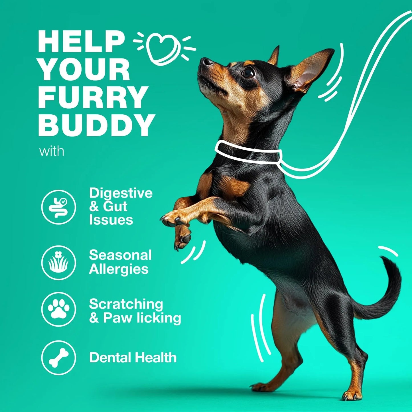 Dog Probiotics Travel Pack – Gut Health, Immunity & Digestive Support